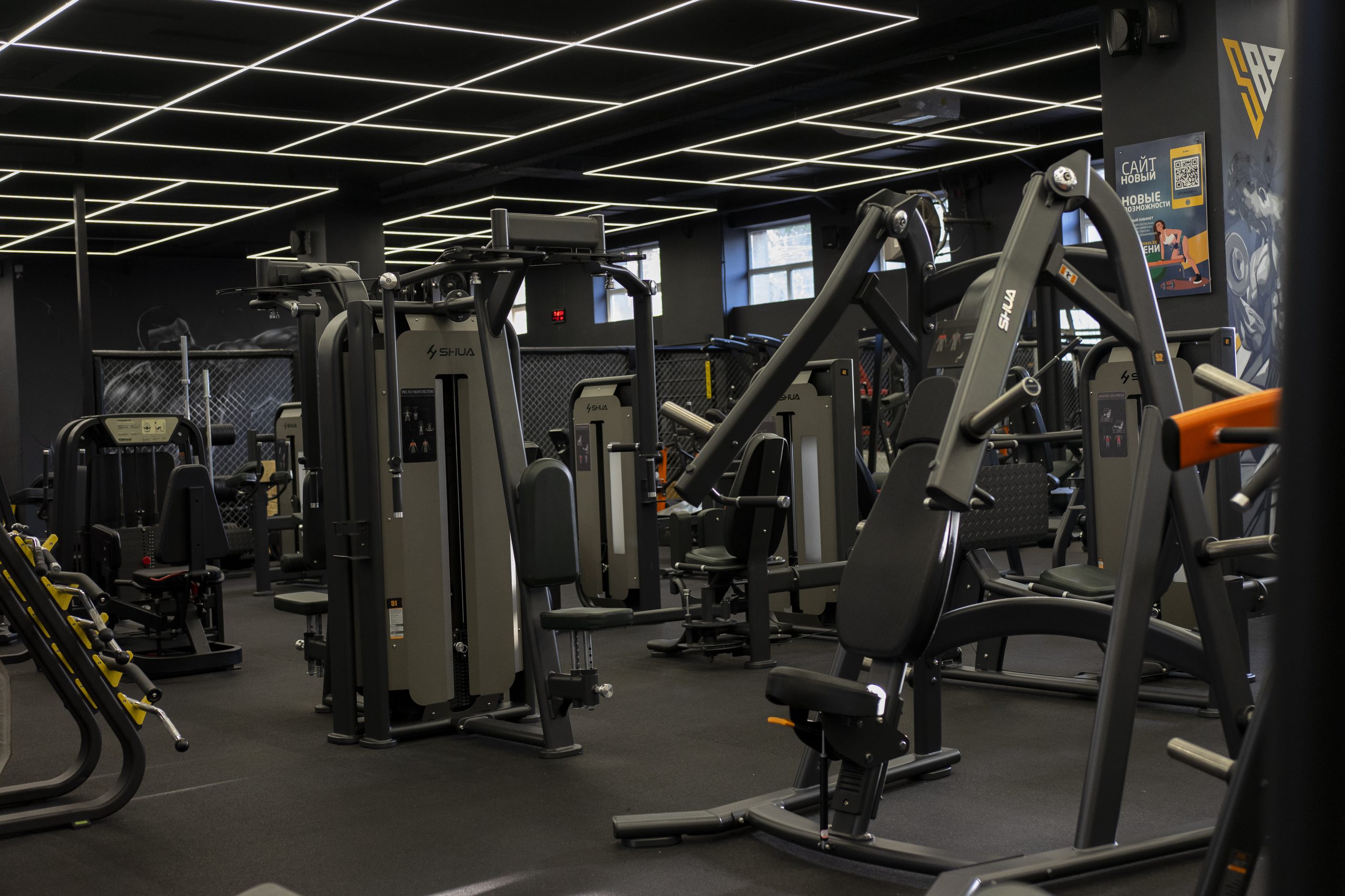 Market Comparison of Iso-Lateral Chest Press Machines