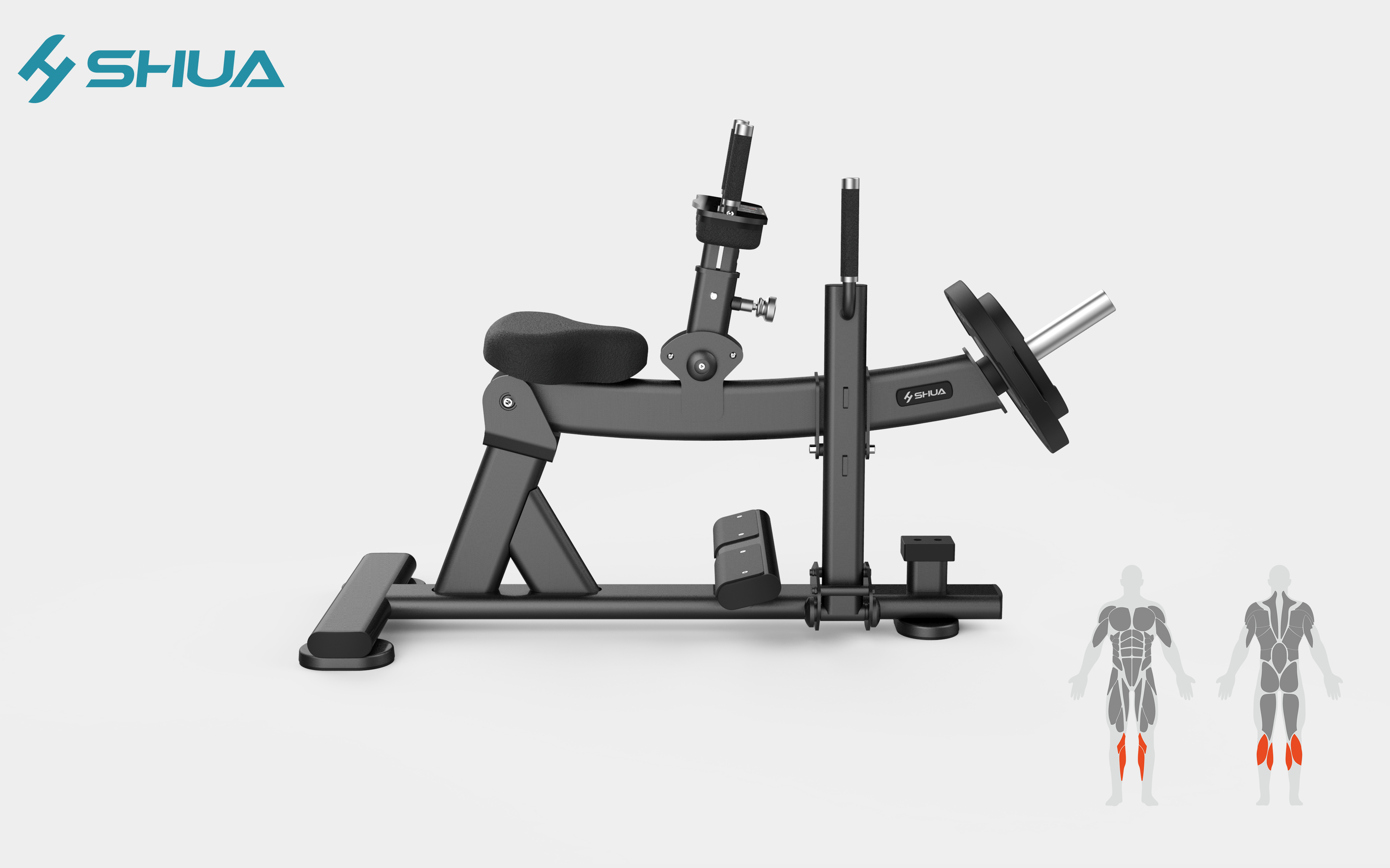 How to Use a Seated Calf Raise Machine Effectively