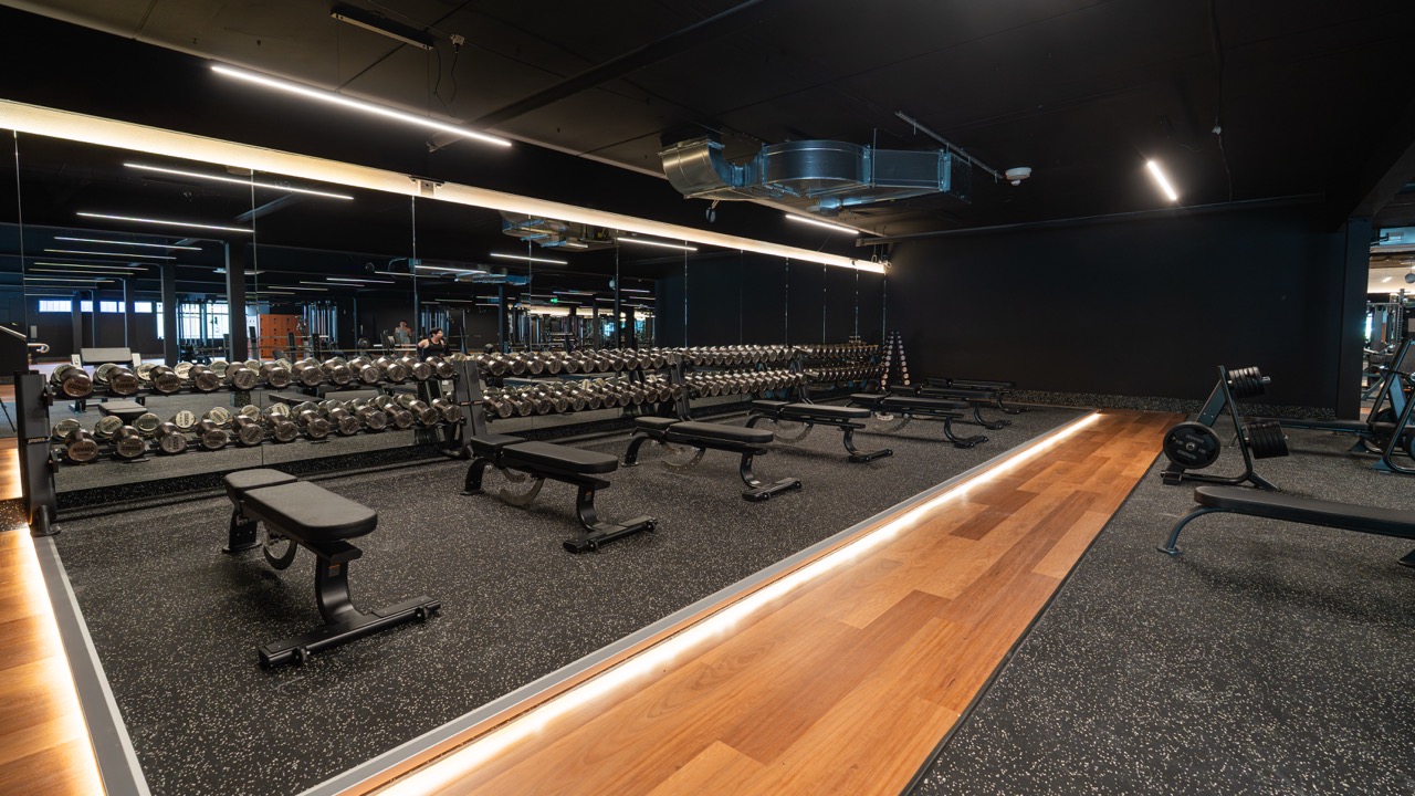 Dumbbell rack with mirror wall