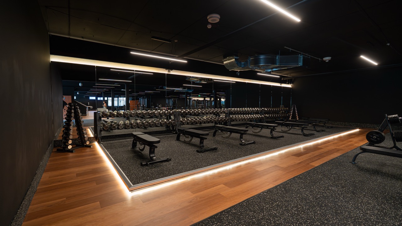 Free weights floor — LED-lit timber platform