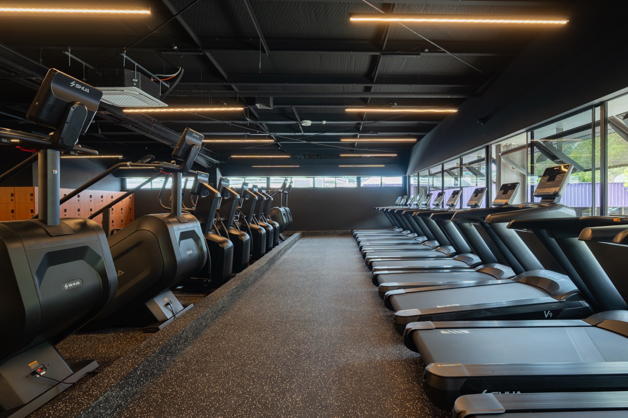 Cardio suite — treadmills and stair climbers