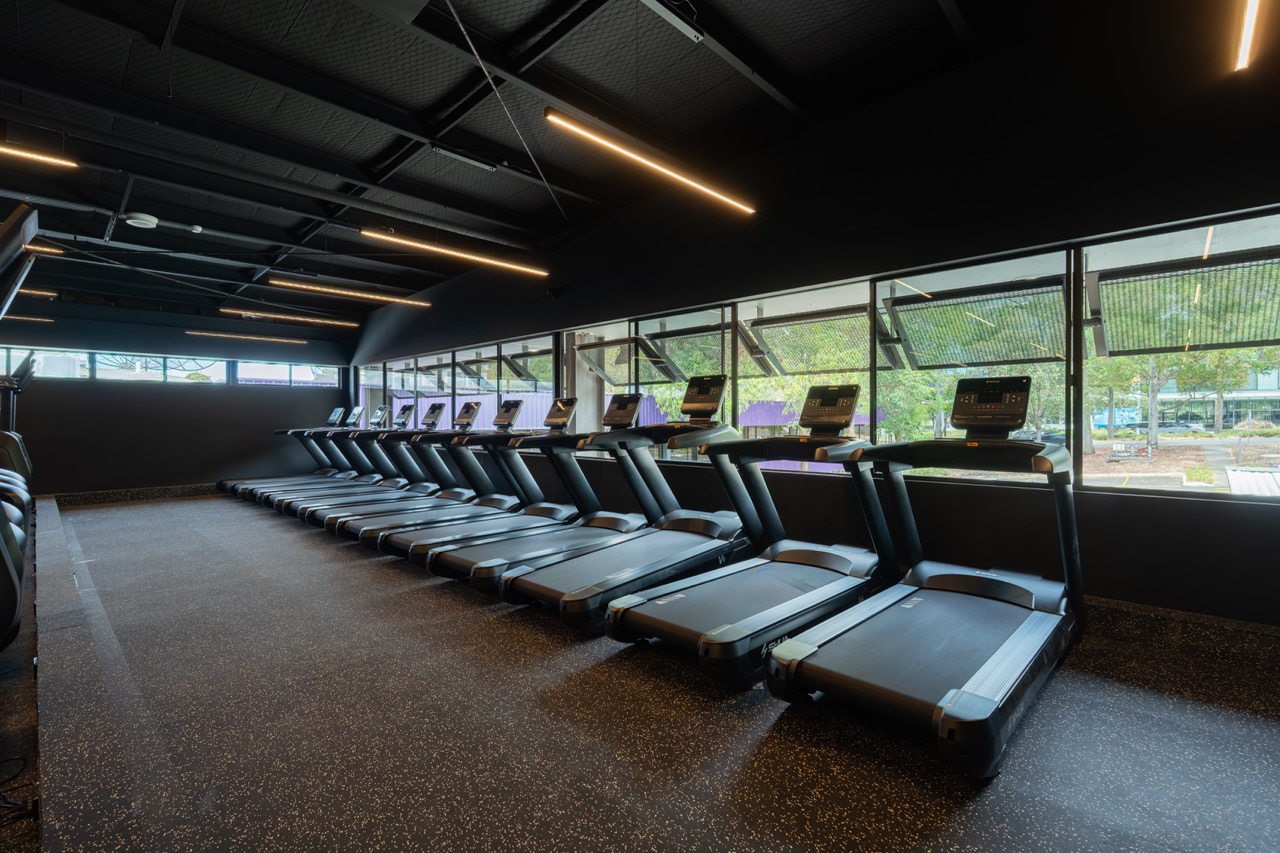 Treadmill row facing garden windows