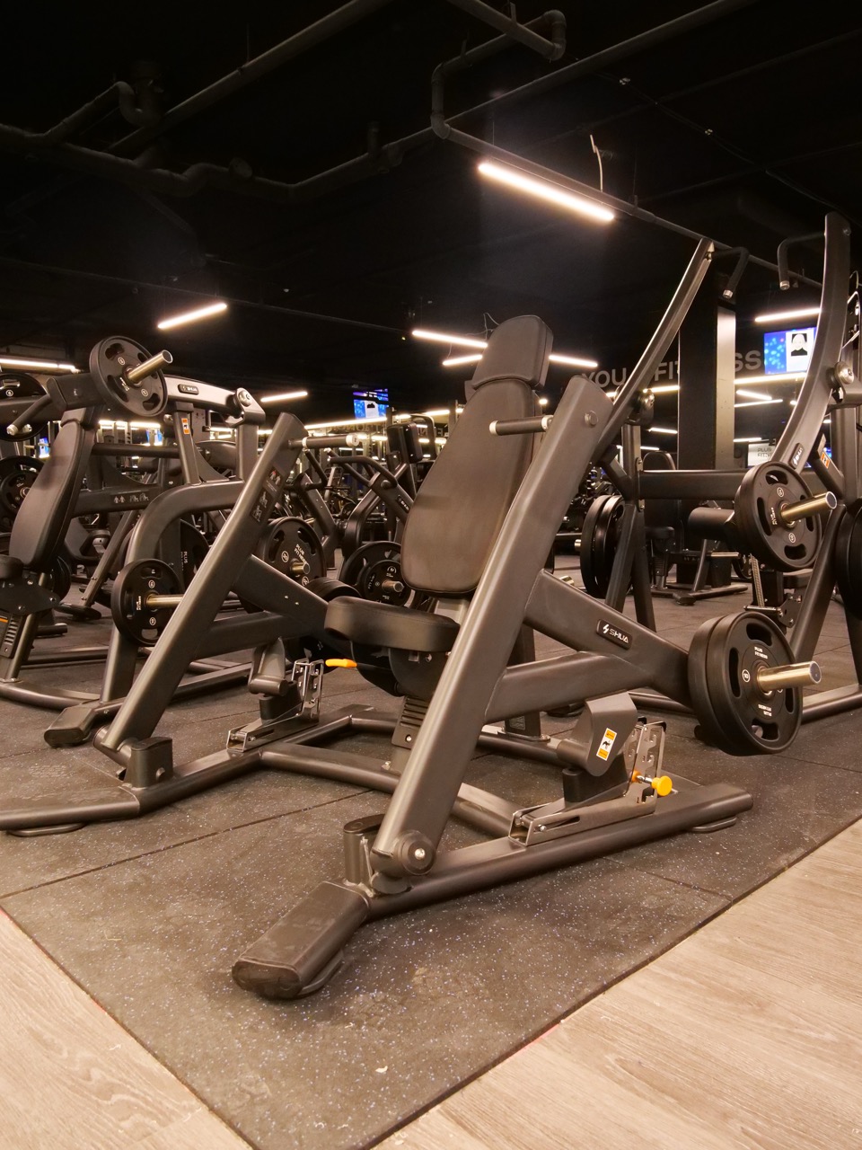 Plate-loaded strength floor — wide overview with LED strip lighting
