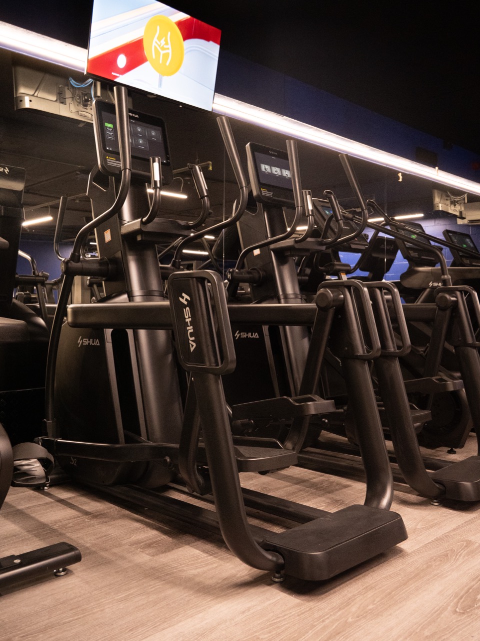 SHUA elliptical cross trainers in a row
