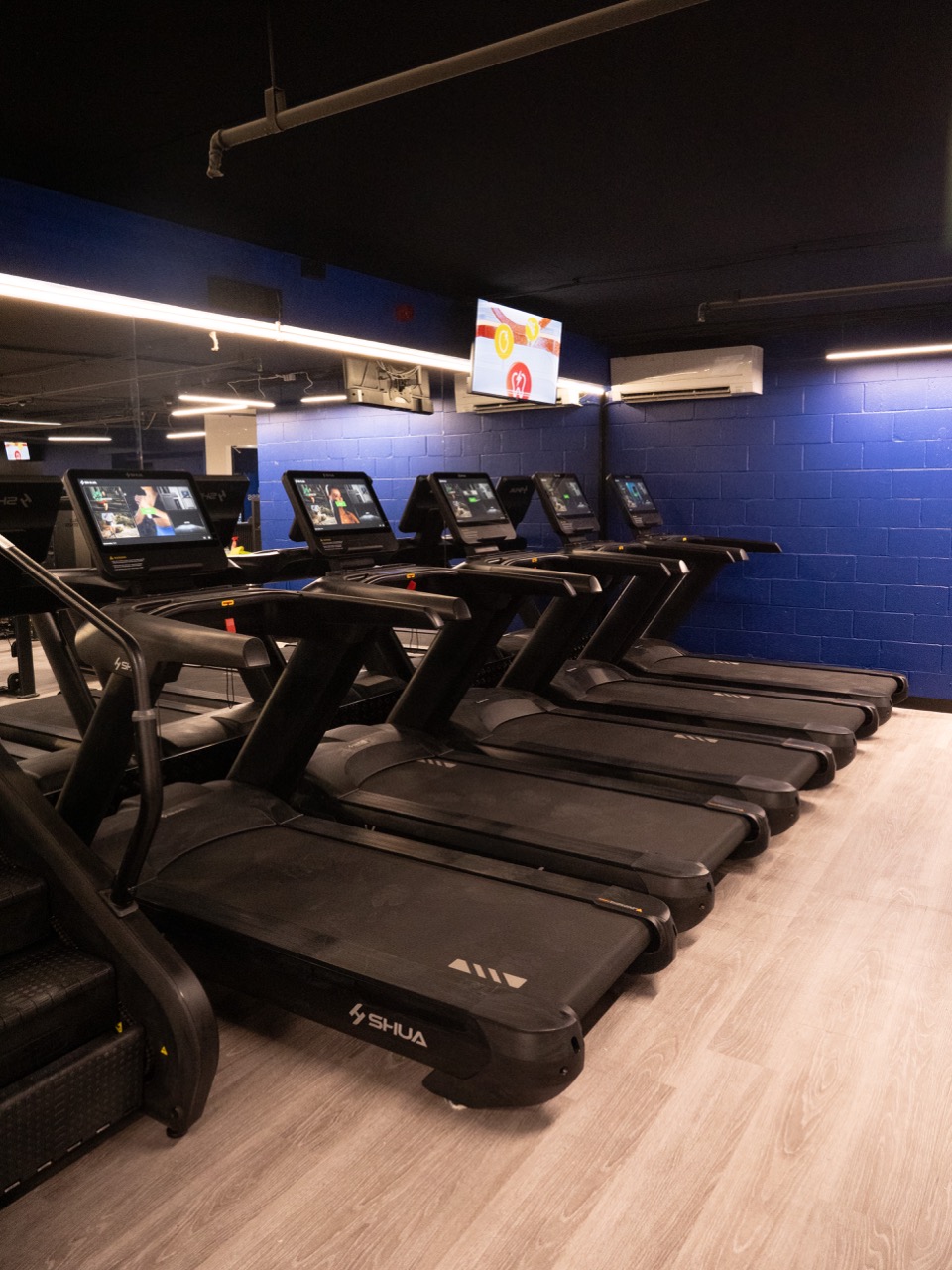 Cardio suite — SHUA treadmill row against blue brick wall
