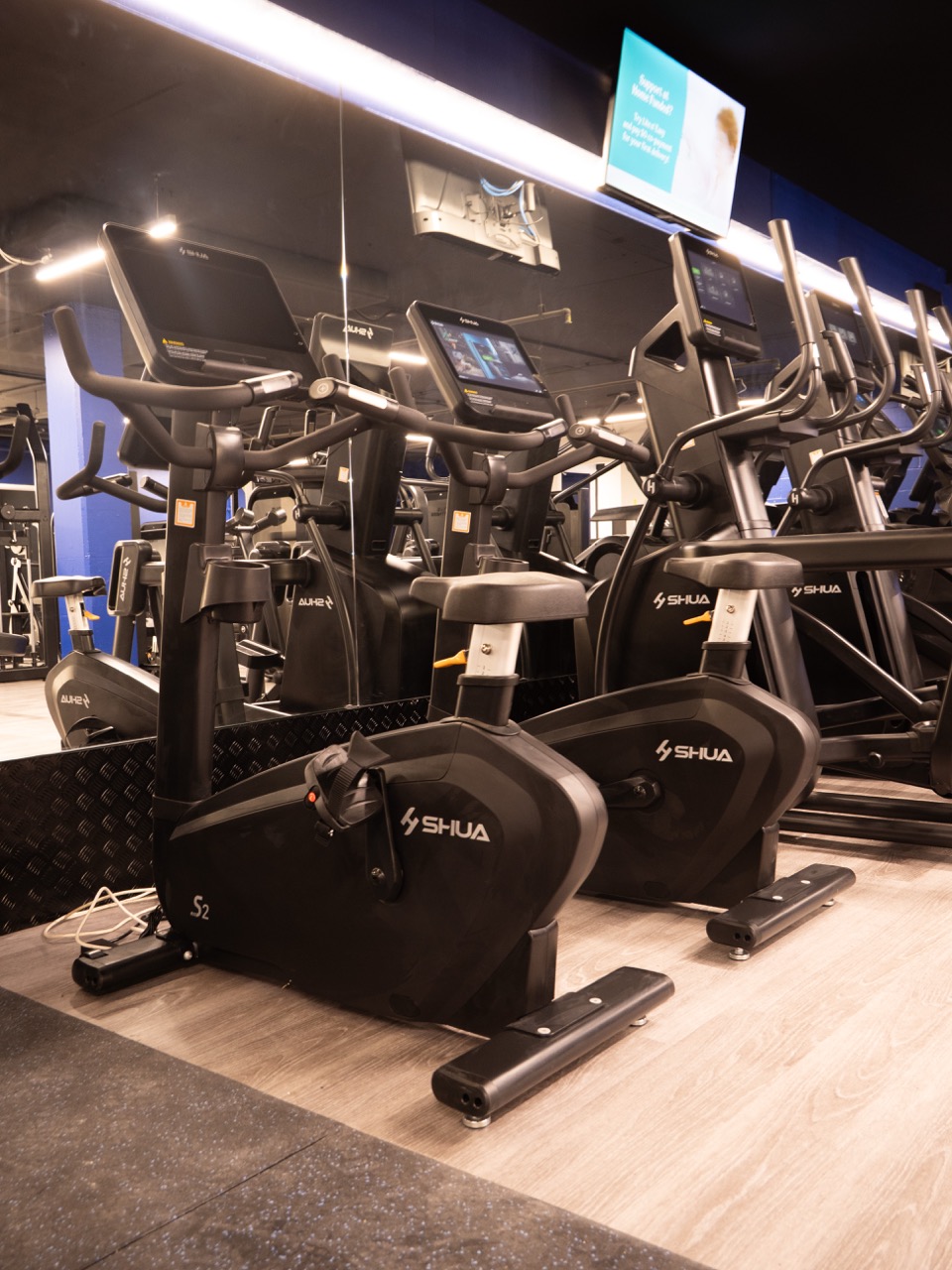 SHUA upright bikes — cardio zone